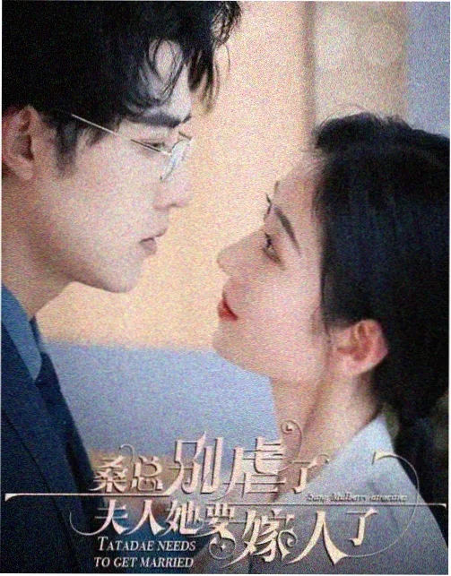 长夜航班 热播电视剧在线观看